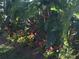 Close up shot of backyard landscaping featuring bromeliads and tropical plants at 2354 Messenger Cir, Safety Harbor, FL 34695