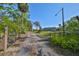 Gated entrance leading to a long private driveway lined with mature trees at 4152 Gerry Ln, Land O Lakes, FL 34638