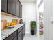 Kitchen area with black cabinets, granite countertops, and a walk-in pantry filled with organized food and storage items at 9119 Forge Breeze Loop, Wesley Chapel, FL 33545
