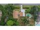 Overhead view of the landscaped backyard area with pool and mature trees at 11718 N Ola Ave, Tampa, FL 33612