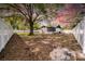 Backyard with grass and a large tree in the center at 2887 North Rd, Clearwater, FL 33760