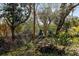 A serene backyard featuring a stone statue surrounded by lush greenery and natural elements at 2457 Orangepointe Ave, Palm Harbor, FL 34683