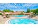 Community pool with plenty of lounge chairs and tables, umbrellas, jacuzzi and green landscaping at 3210 Mcmath Dr, Palm Harbor, FL 34684