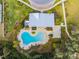Aerial perspective of a community pool with unique shape, surrounded by lounge chairs and palm trees at 6241 Spider Lily Way, New Port Richey, FL 34653