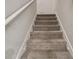 Carpeted stairs with a white handrail lead to the upper level at 6241 Spider Lily Way, New Port Richey, FL 34653