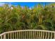 View from the balcony showing lush tropical foliage at 6345 Vista Verde E Dr, Gulfport, FL 33707