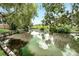 Scenic backyard view with a tranquil pond surrounded by lush greenery and mature trees at 9501 Alice Ln, Riverview, FL 33578