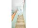 Carpeted stairway with wooden handrail and light blue walls leading to the upper level at 9501 Alice Ln, Riverview, FL 33578