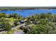 Aerial view of a brown roof home in a lush community near a lake, showcasing its prime location at 12010 Hardaman Pl, Tampa, FL 33618