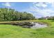 Scenic view of a serene pond surrounded by lush greenery, creating a peaceful natural backdrop for the property at 29312 Marker Loop, San Antonio, FL 33576