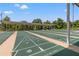 Outdoor shuffleboard courts for community residents in a scenic setting with mature trees at 29312 Marker Loop, San Antonio, FL 33576