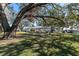 Shaded picnic area under a mature tree with picnic tables and lush green grass at 9790 66Th N St # 469, Pinellas Park, FL 33782