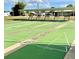 Shuffleboard courts at this HOA community create great outdoor recreation at 3921 Chris Dr, Wesley Chapel, FL 33543