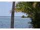 Peaceful water view framed by lush palm trees, offering a serene escape and a glimpse of the bridge at 4851 W Gandy Blvd # B5L19, Tampa, FL 33611
