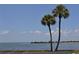 Beautiful waterfront scenery with palm trees, calm waters, and distant views of the bridge offering tranquility and scenic beauty at 4851 W Gandy Blvd # B5L19, Tampa, FL 33611