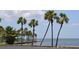 Scenic waterfront view with swaying palm trees, and tranquil water, highlighting the community's picturesque coastal location at 4851 W Gandy Blvd # B5L19, Tampa, FL 33611