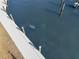 Aerial view of a dock with a Manatee swimming nearby in the water at 5850 Gasparilla Rd # M5, Boca Grande, FL 33921