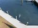 Aerial view of a dock with a Manatee swimming nearby in the water at 5850 Gasparilla Rd # M5, Boca Grande, FL 33921