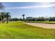 Scenic golf course view with lush green fairways and mature palm trees under a clear blue sky at 6269 Palma Del Mar S Blvd # 111, St Petersburg, FL 33715