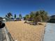 Charming light blue home featuring decorative rock landscaping and mature palm trees at 2344 Tahitian Dr, Holiday, FL 34691