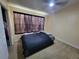 Cozy bedroom with a dark bedspread, modern ceiling fan, and large window at 310 Kensington Lake Cir, Brandon, FL 33511