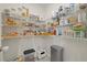 Walk-in pantry featuring ample shelving for organized storage of food items and kitchen essentials at 31386 Penny Surf Loop, Wesley Chapel, FL 33545