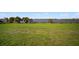 Expansive grassy lawn leading to the lake, offering serene waterfront views at 3319 Gulf City Rd, Ruskin, FL 33570