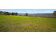 Expansive grassy lawn leading to the lake, offering serene waterfront views at 3319 Gulf City Rd, Ruskin, FL 33570