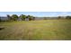 Expansive grassy lawn leading to the lake, offering serene waterfront views at 3319 Gulf City Rd, Ruskin, FL 33570
