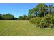 Expansive, grassy backyard with a waterway visible beyond the trees and bushes at 5400 Park N St # 200, St Petersburg, FL 33709