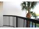 Balcony with black railing and a view of a palm tree and parking area at 5400 Park N St # 200, St Petersburg, FL 33709