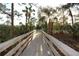 Scenic wooden walkway surrounded by lush greenery and palm trees at 5400 Park N St # 200, St Petersburg, FL 33709