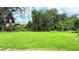 Lush green backyard with beautiful trees offering a peaceful view, ideal for enjoying nature at 10908 Carlton Fields Dr, Riverview, FL 33579
