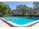 Large community pool offering refreshing water and a relaxing environment with mature trees in the background at 3416 Annette Ct # 71, Clearwater, FL 33761