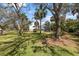 Lush, green property view showcasing a modern home with screened-in pool surrounded by mature trees at 375 Wellington Ave, Oldsmar, FL 34677