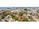 Aerial view of home and neighborhood, showcasing the property's location among mature trees in the community at 5107 S Renellie Dr, Tampa, FL 33611