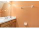 Clean bathroom featuring a sink vanity and neutral finishes for a simple, functional space at 5843 Justicia Loop, Land O Lakes, FL 34639