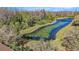 Aerial view of pond, showcasing serene water, lily pads, and lush surrounding nature at 5843 Justicia Loop, Land O Lakes, FL 34639