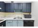 A well-lit kitchen showcasing upper and lower painted cabinets and black appliances at 11706 Raintree Village Blvd # D, Temple Terrace, FL 33617