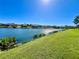 Community pond view featuring lush green grass and sunlight reflecting off the water at 1945 Fruitridge St, Brandon, FL 33510