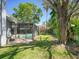Lush backyard featuring a screened-in pool and mature trees, providing shade and privacy at 2988 Pinewood Run, Palm Harbor, FL 34684