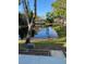 Picturesque backyard view of a tranquil pond surrounded by lush greenery and mature trees at 3911 La Costa Ln, Largo, FL 33771