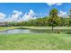 Scenic backyard featuring a tranquil pond surrounded by lush greenery, enhancing the property's natural beauty at 4849 Isola Ct, Wesley Chapel, FL 33543