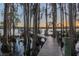 Wooden dock surrounded by trees and water offering serene lake access and a glimpse of a boat lift at 5914 Fitzgerald Rd, Odessa, FL 33556