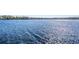 Expansive lake view showing the peaceful waterfront community and serene, ripple-filled water at 5914 Fitzgerald Rd, Odessa, FL 33556
