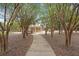 Serene walkway leading to a gazebo, surrounded by lush trees and meticulously maintained landscaping at 8721 Savory Walk Dr, Land O Lakes, FL 34637