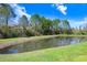 Scenic pond surrounded by lush greenery, offering a tranquil natural view at 8721 Savory Walk Dr, Land O Lakes, FL 34637