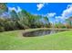 Scenic pond surrounded by lush greenery, offering a tranquil natural view at 8721 Savory Walk Dr, Land O Lakes, FL 34637