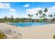 Large community pool with lap lanes, sun loungers, and palm trees, perfect for relaxation and exercise at 8721 Savory Walk Dr, Land O Lakes, FL 34637