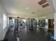 Bright and spacious fitness center with modern exercise equipment and mirrored wall at 9730 Lake Chase Island Way # 9730, Tampa, FL 33626